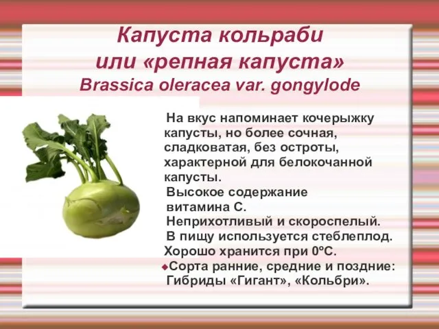 Капуста кольраби или «репная капуста» Brassica oleracea var. gongylode На вкус