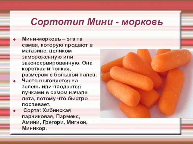 Сортотип Мини - морковь Мини-морковь – эта та самая, которую продают