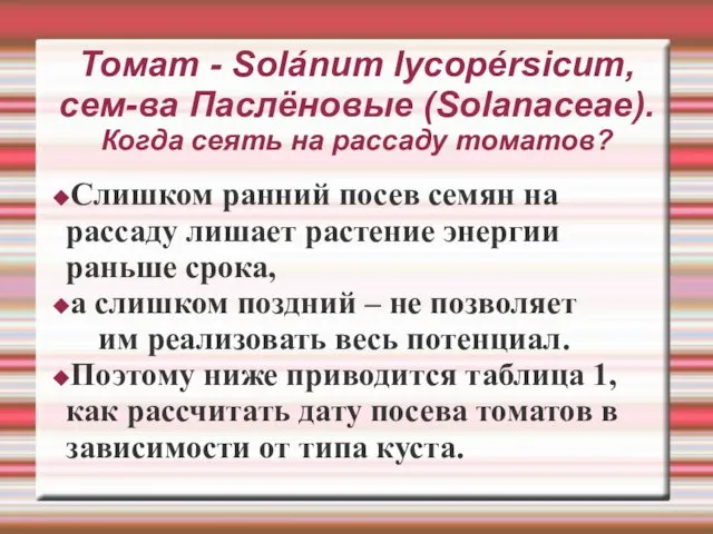 Томат - Solánum lycopérsicum, сем-ва Паслёновые (Solanaceae). Когда сеять на рассаду