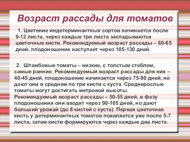 Возраст рассады для томатов 1. Цветение индетерминантных сортов начинается после 9-12