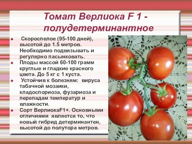 Томат Верлиока F 1 - полудетерминантное Скороспелое (95-100 дней), высотой до