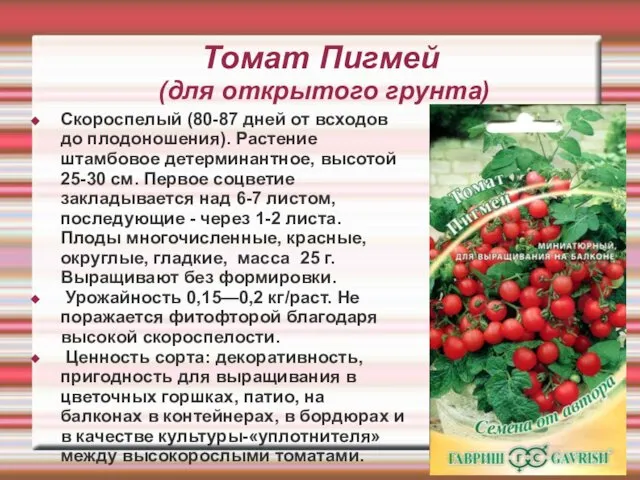 Томат Пигмей (для открытого грунта) Скороспелый (80-87 дней от всходов до