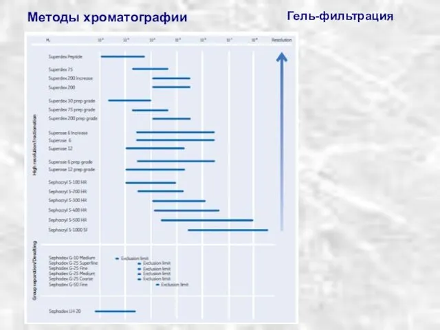 Гель-фильтрация Методы хроматографии