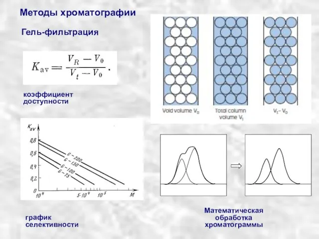 Гель-фильтрация Методы хроматографии коэффициент доступности график селективности Математическая обработка хроматограммы