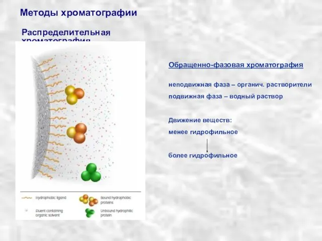 Методы хроматографии Распределительная хроматография Обращенно-фазовая хроматография неподвижная фаза – органич. растворители