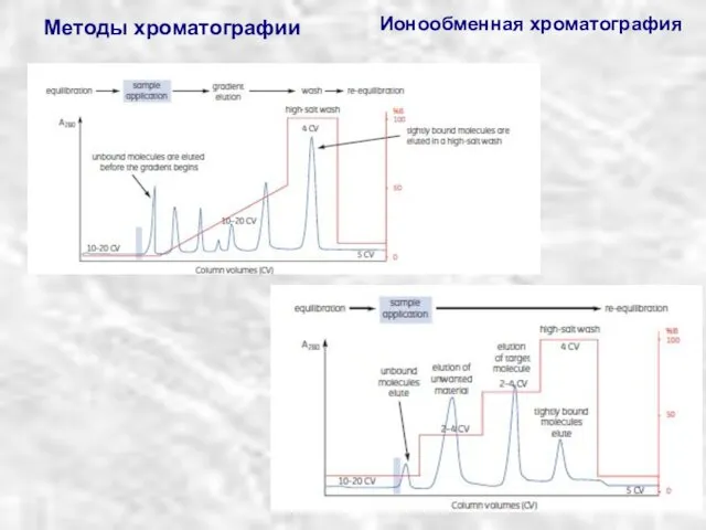 Методы хроматографии Ионообменная хроматография