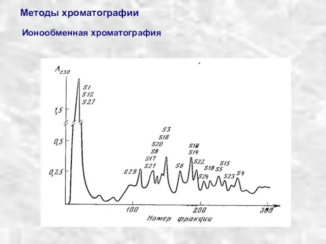 Методы хроматографии Ионообменная хроматография