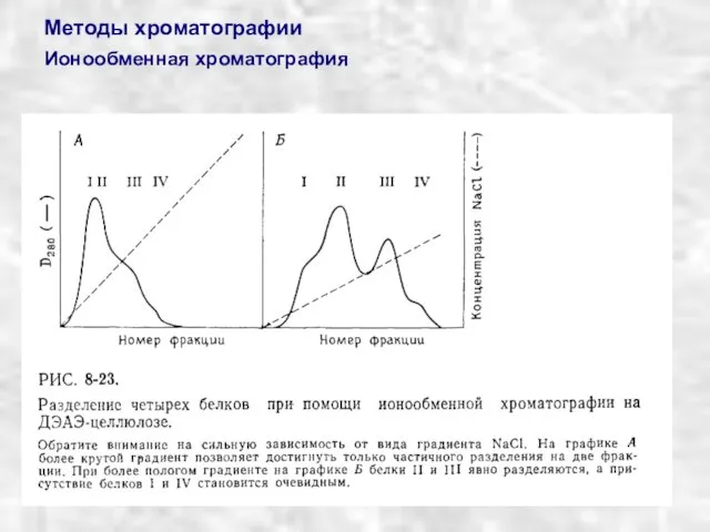 Методы хроматографии Ионообменная хроматография