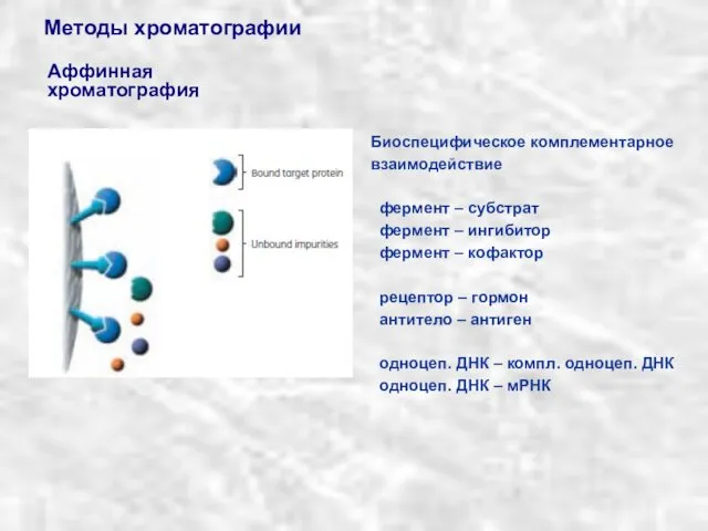 Методы хроматографии Аффинная хроматография Биоспецифическое комплементарное взаимодействие фермент – субстрат фермент