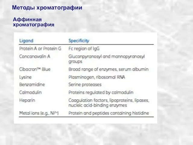 Методы хроматографии Аффинная хроматография