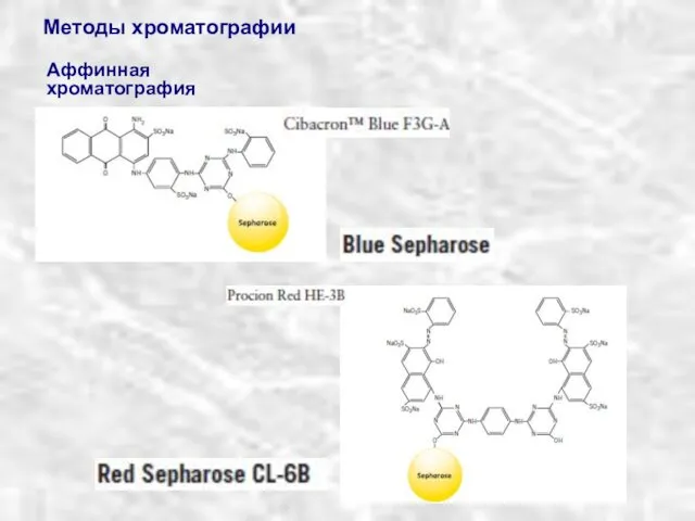 Методы хроматографии Аффинная хроматография