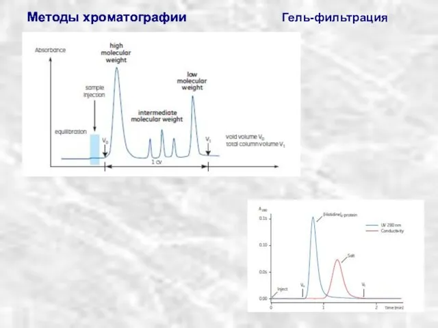 Методы хроматографии Методы хроматографии Методы хроматографии Гель-фильтрация