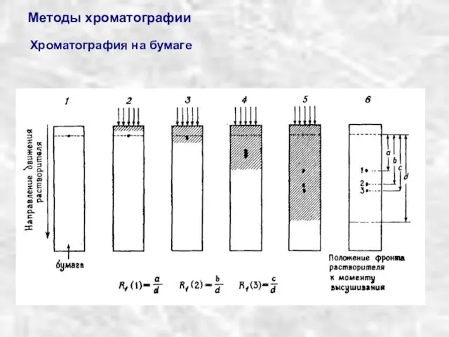 Методы хроматографии Хроматография на бумаге