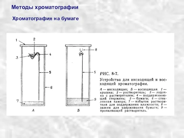 Методы хроматографии Хроматография на бумаге