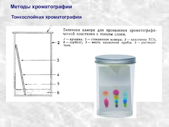 Методы хроматографии Тонкослойная хроматография