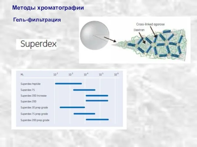 Гель-фильтрация Методы хроматографии