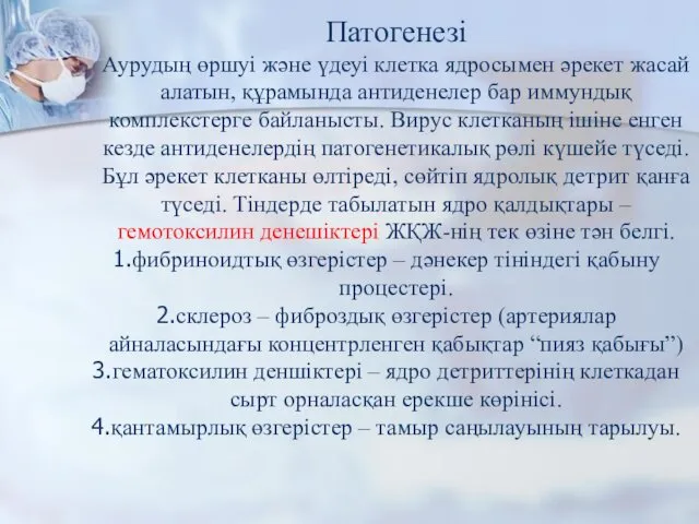 Патогенезі Аурудың өршуі және үдеуі клетка ядросымен әрекет жасай алатын, құрамында