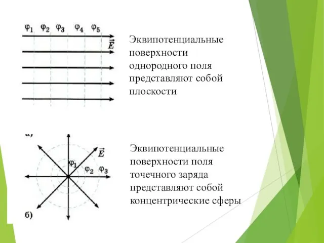 Эквипотенциальные поверхности однородного поля представляют собой плоскости Эквипотенциальные поверхности поля точечного заряда представляют собой концентрические сферы