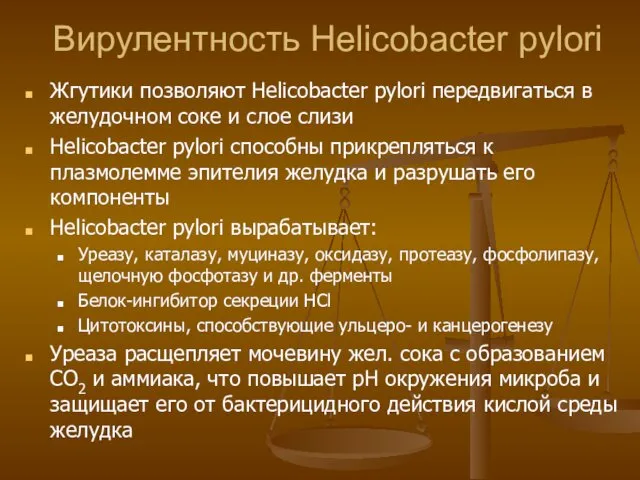 Вирулентность Helicobacter pylori Жгутики позволяют Helicobacter pylori передвигаться в желудочном соке