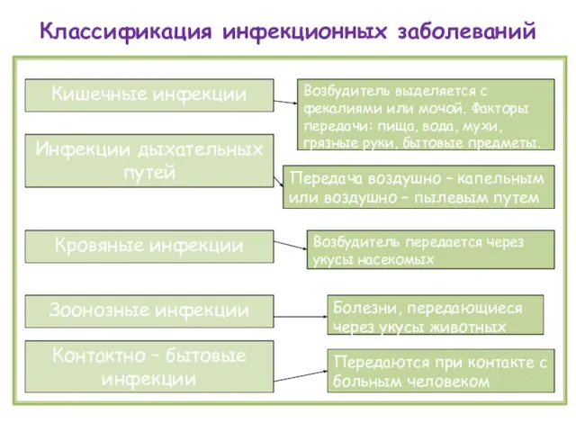 Классификация инфекционных заболеваний