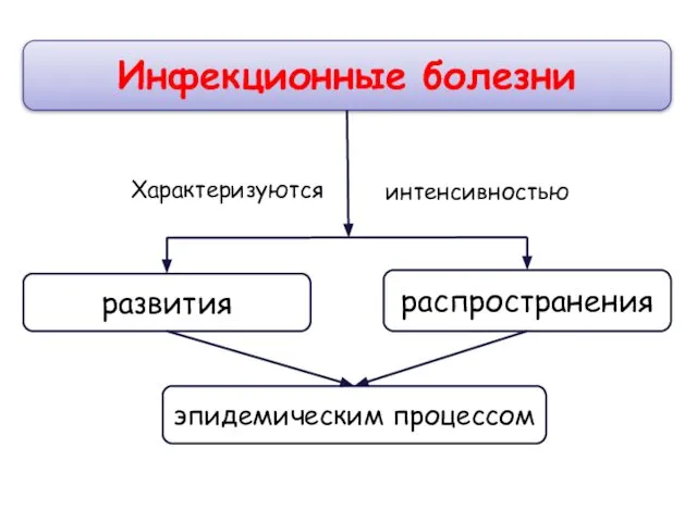 Инфекционные болезни развития Характеризуются распространения эпидемическим процессом интенсивностью