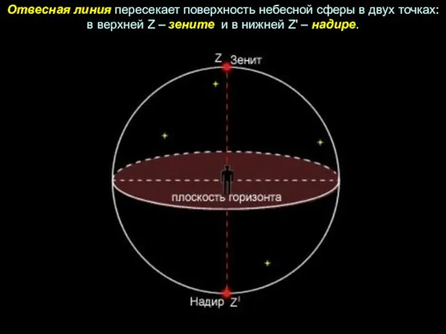 Отвесная линия пересекает поверхность небесной сферы в двух точках: в верхней