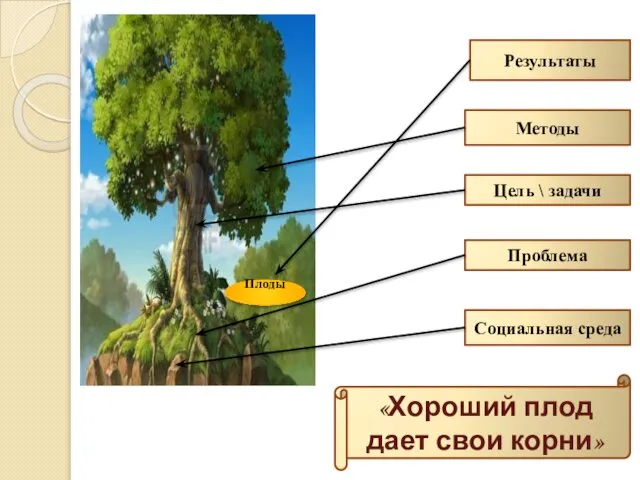 Социальная среда «Хороший плод дает свои корни» Проблема Цель \ задачи Методы Результаты Плоды