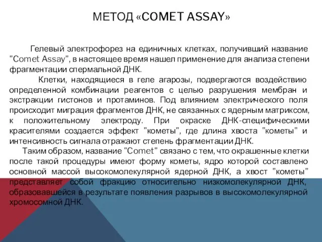 МЕТОД «COMET ASSAY» Гелевый электрофорез на единичных клетках, получивший название "Comet