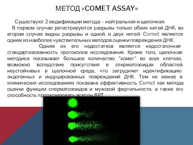 МЕТОД «COMET ASSAY» Существуют 2 модификации метода – нейтральная и щелочная.