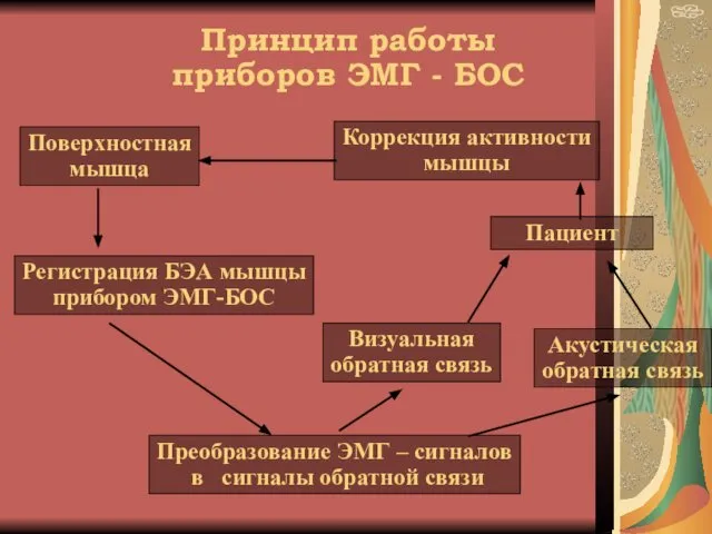 Принцип работы приборов ЭМГ - БОС Регистрация БЭА мышцы прибором ЭМГ-БОС