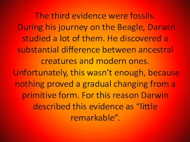 The third evidence were fossils. During his journey on the Beagle,