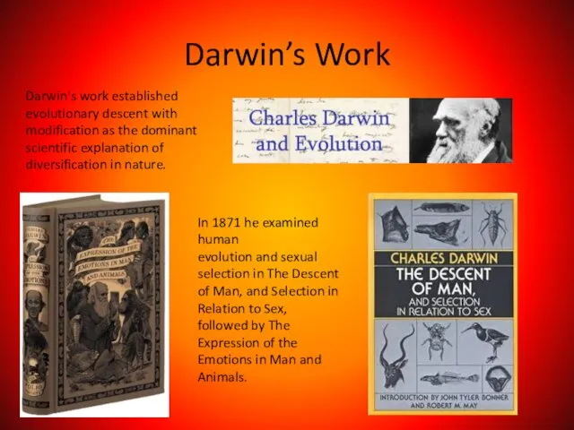 Darwin’s Work Darwin's work established evolutionary descent with modification as the