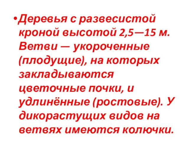 Деревья с развесистой кроной высотой 2,5—15 м. Ветви — укороченные (плодущие),