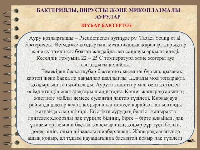 БАКТЕРИЯЛЫ, ВИРУСТЫ ЖӘНЕ МИКОПЛАЗМАЛЫ АУРУЛАР ШҰБАР БАКТЕРТОЗ Ауру қоздырғышы – Pseudomonas