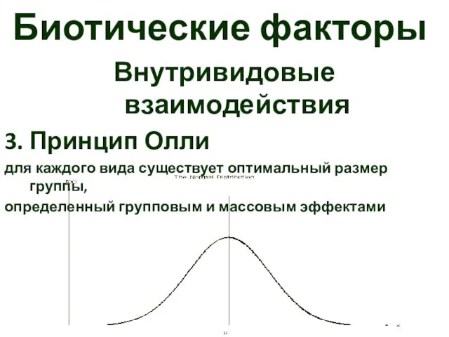 Биотические факторы Внутривидовые взаимодействия 3. Принцип Олли для каждого вида существует