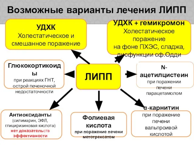 ЛИПП УДХК Холестатическое и смешанное поражение α-карнитин при поражение печени вальпроивой