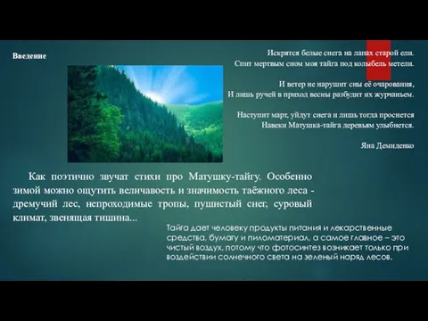 Тайга дает человеку продукты питания и лекарственные средства, бумагу и пиломатериал,