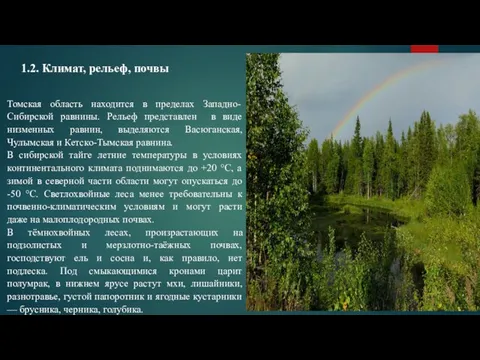 Томская область находится в пределах Западно-Сибирской равнины. Рельеф представлен в виде