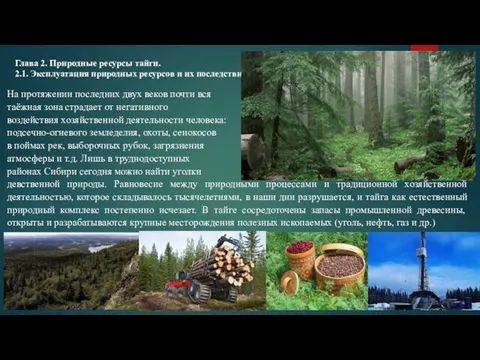 Глава 2. Природные ресурсы тайги. 2.1. Эксплуатация природных ресурсов и их