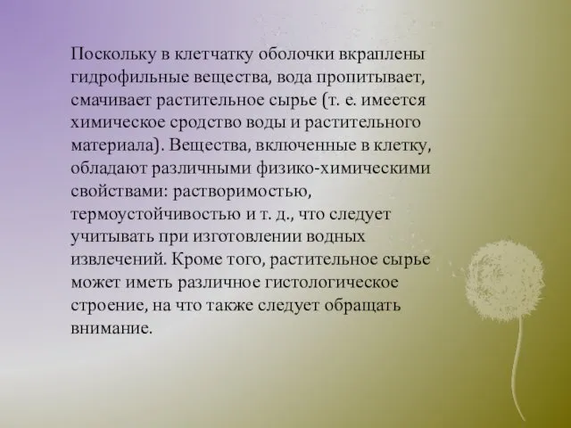 Поскольку в клетчатку оболочки вкраплены гидрофильные вещества, вода пропитывает, смачивает растительное