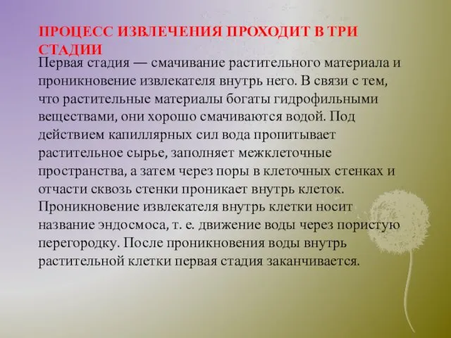 ПРОЦЕСС ИЗВЛЕЧЕНИЯ ПРОХОДИТ В ТРИ СТАДИИ Первая стадия — смачивание растительного