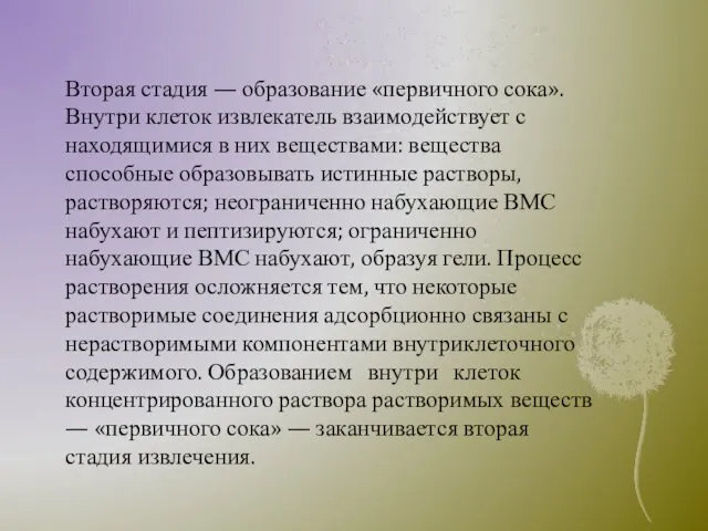 Вторая стадия — образование «первичного сока». Внутри клеток извлекатель взаимодействует с