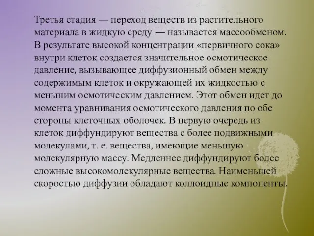 Третья стадия — переход веществ из растительного материала в жидкую среду