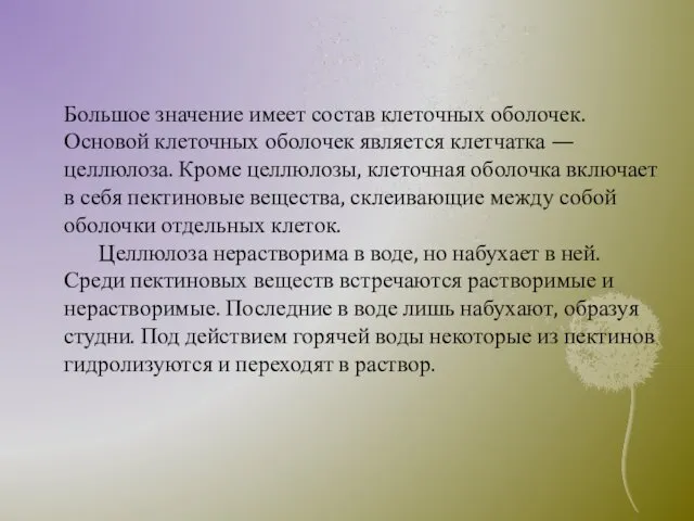 Большое значение имеет состав клеточных оболочек. Основой клеточных оболочек является клетчатка