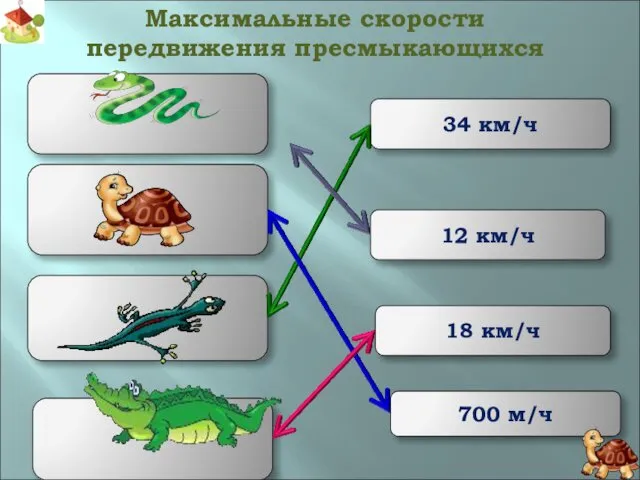 700 м/ч 34 км/ч 18 км/ч 12 км/ч Максимальные скорости передвижения пресмыкающихся