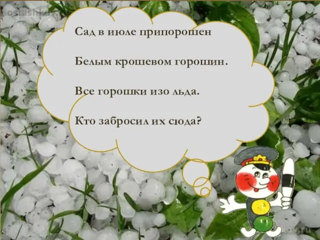 Сад в июле припорошен Белым крошевом горошин. Все горошки изо льда. Кто забросил их сюда?