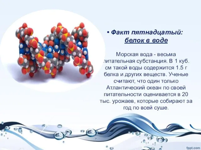 Факт пятнадцатый: белок в воде Морская вода - весьма питательная субстанция.