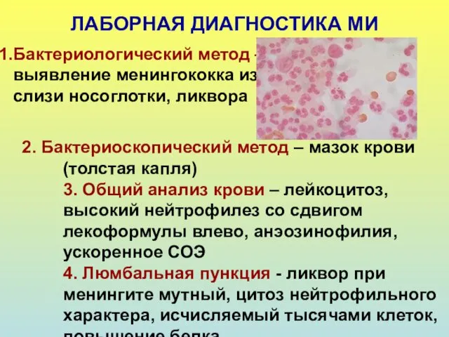 ЛАБОРНАЯ ДИАГНОСТИКА МИ Бактериологический метод – выявление менингококка из слизи носоглотки,