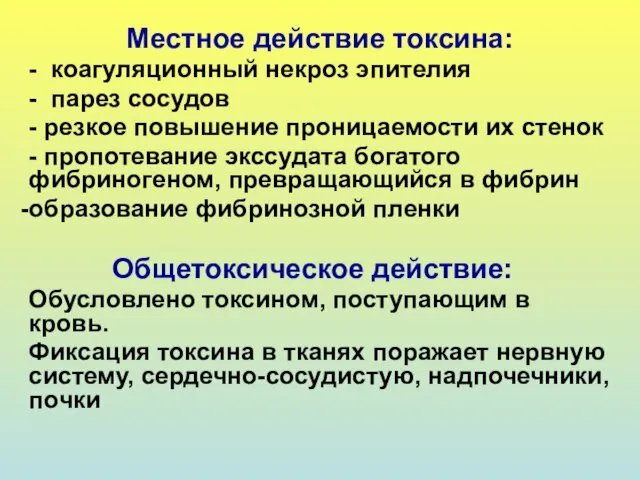 Местное действие токсина: - коагуляционный некроз эпителия - парез сосудов -