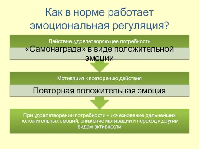 Как в норме работает эмоциональная регуляция?